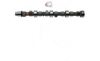 CAMPRO CP11921 Camshaft